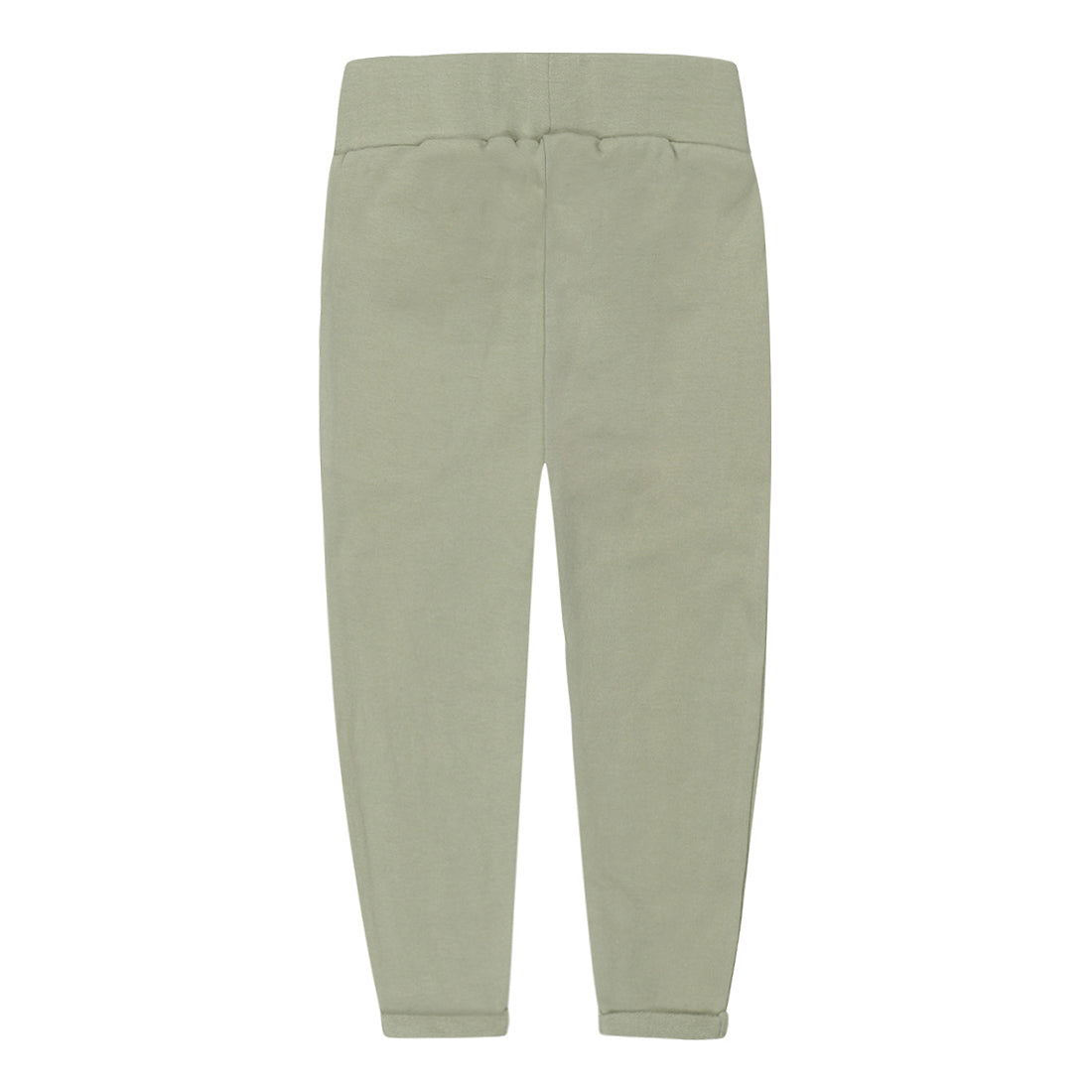 Trousers T46484-35 green