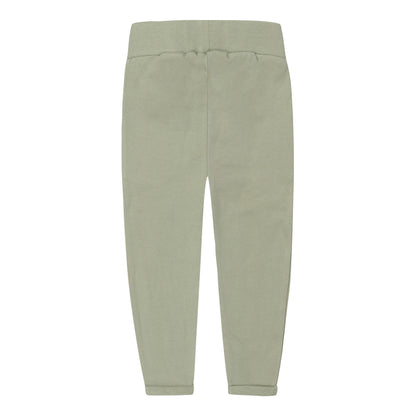 Trousers T46484-35 green